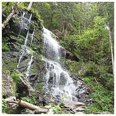 Zweribach Wasserfälle Simonswald