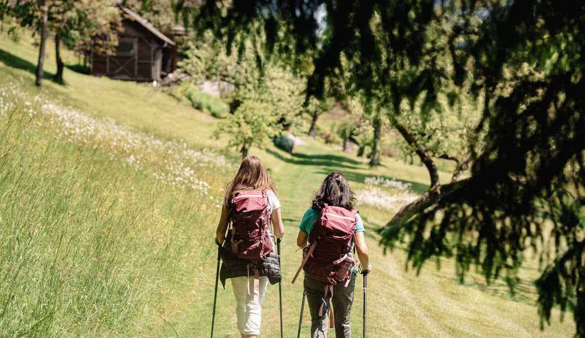 Zwei Personen wandern mit Wanderruckcsack und Wanderstoecke an der Elz entlang in WInden im ELztal neben Bäumen, Wiesen und Waelder.